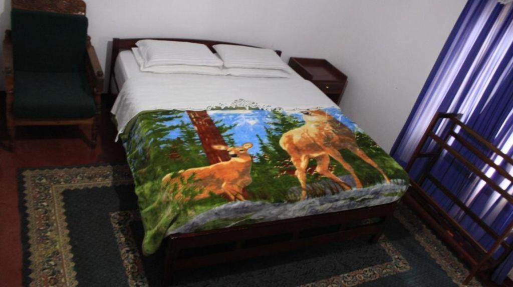 St. Andrews Hostel Nuwara Eliya Zewnętrze zdjęcie